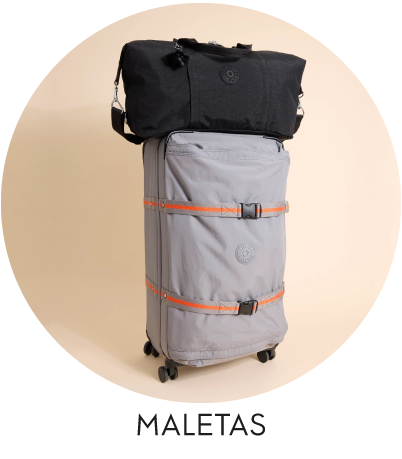 Category--maletas-home
