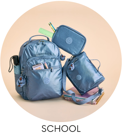 Category--school-home